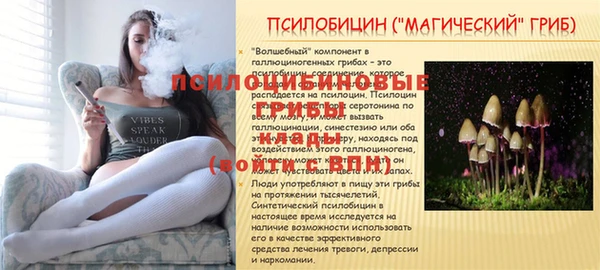 первитин Абаза