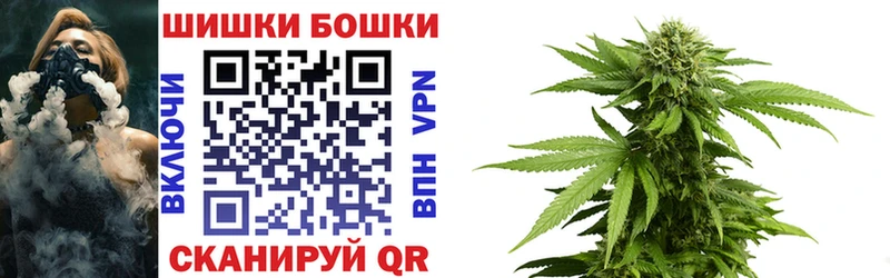 Бошки Шишки конопля Кызыл